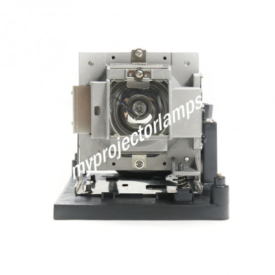Vivitek D7180 Projector Lamp with Module