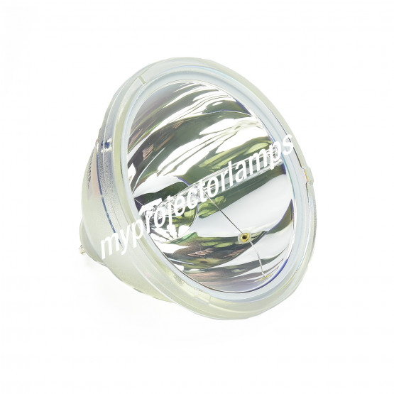 Bare Projector Lamp