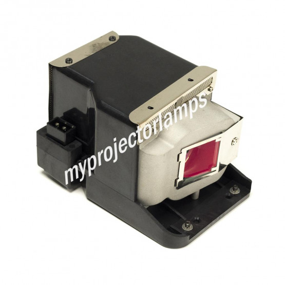 Viewsonic PJD6210 Projector Lamp with Module