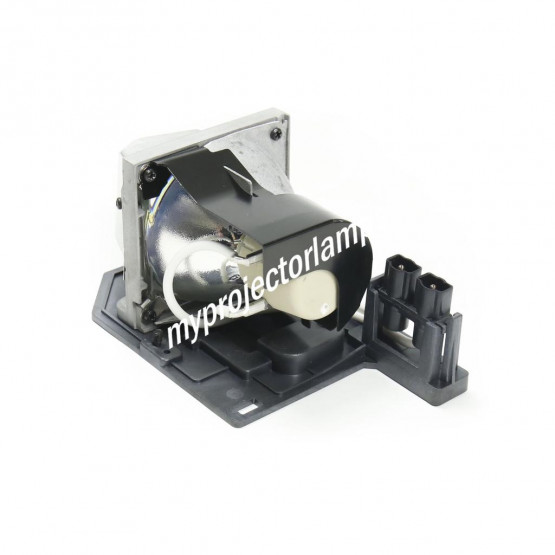 Toshiba TLP-LV9 Projector Lamp with Module