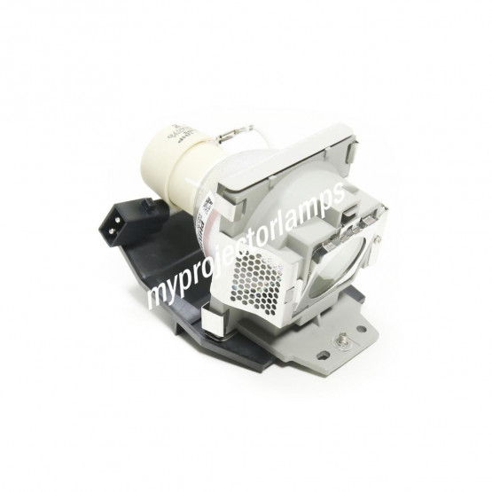 Viewsonic PJ513D Projector Lamp with Module