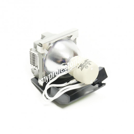 Viewsonic PJ513D Projector Lamp with Module