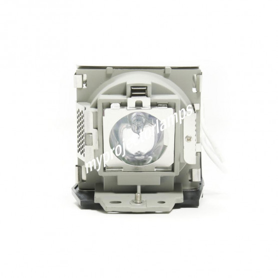 Viewsonic PJ513D Projector Lamp with Module