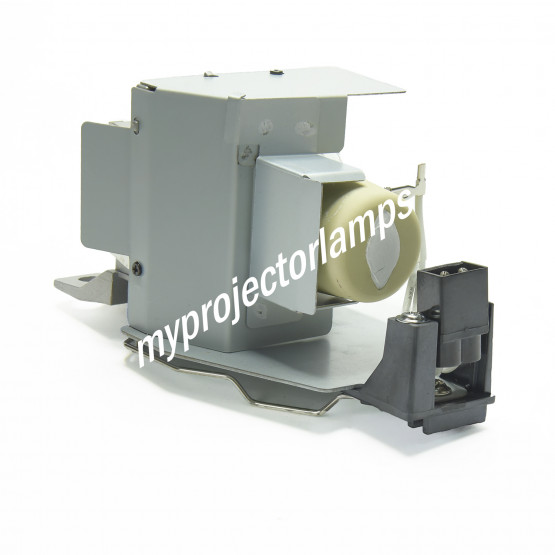 Canon LV-S300ST Projector Lamp with Module