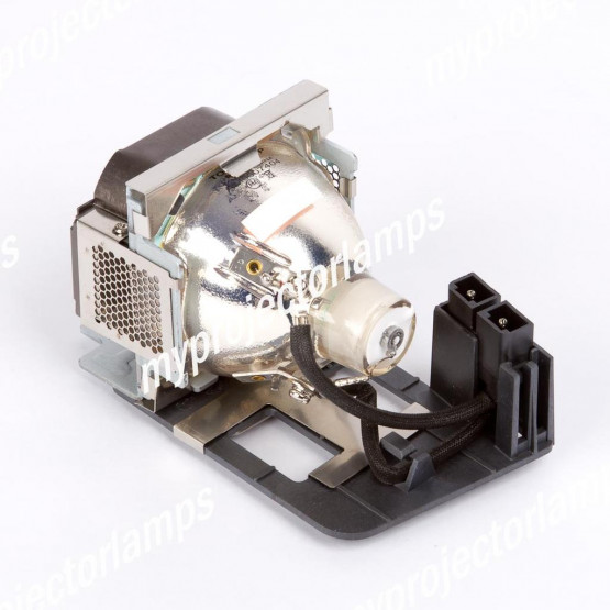 Benq SP830 Projector Lamp with Module