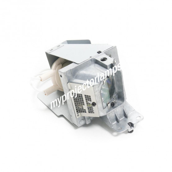 Optoma BL-FP195A Projector Lamp with Module