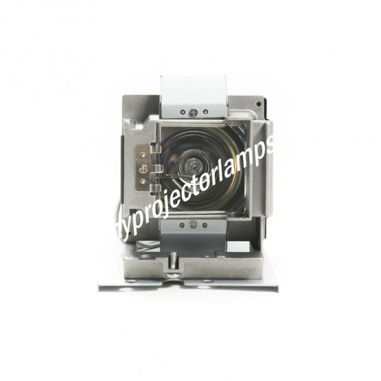 Vivitek H1188 Projector Lamp with Module