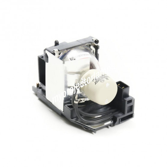 Ricoh Lamp Type 17 Projector Lamp with Module