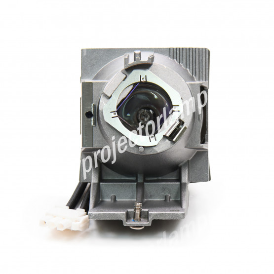 Acer H6530BD Projector Lamp with Module