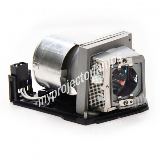 Ricoh LAMP TYPE 5 Projector Lamp with Module