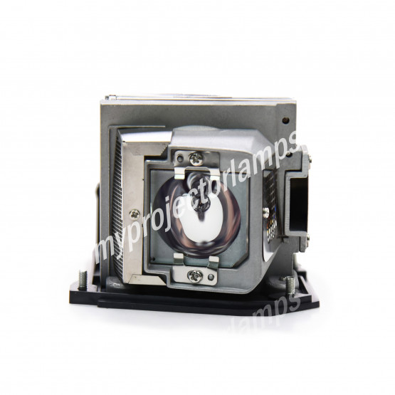 Ricoh LAMP TYPE 5 Projector Lamp with Module
