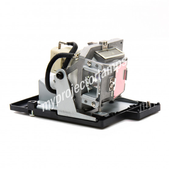 Planar PD2010 (Single Lamp) Projector Lamp with Module