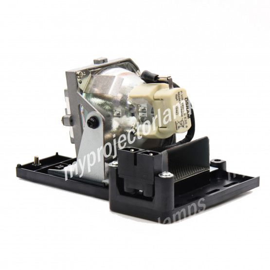 Planar PD2010 Projector Lamp with Module