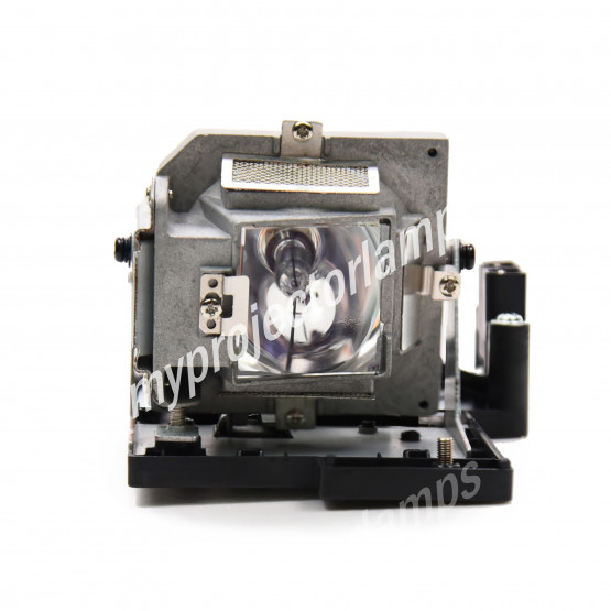 Planar PD2010 Projector Lamp with Module
