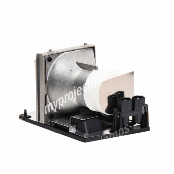 Optoma BL-FP260B Projector Lamp with Module