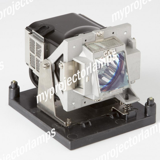 Vivitek D791ST Projector Lamp with Module