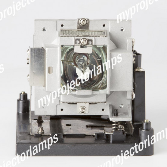 Vivitek D791ST Projector Lamp with Module