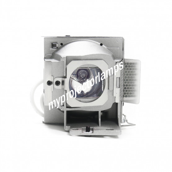 Viewsonic PJD5234L Projector Lamp with Module