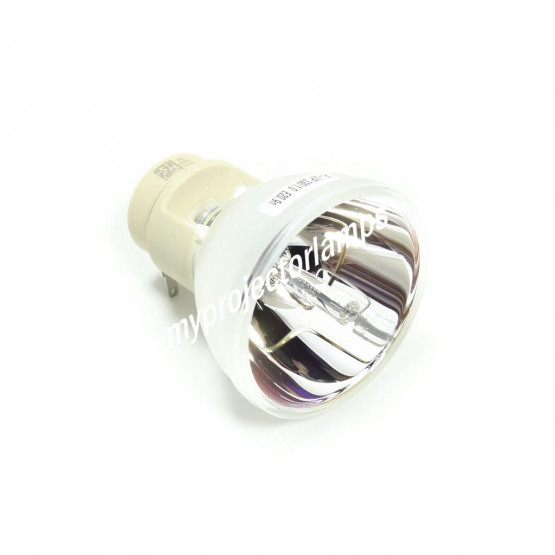 Bare Projector Lamp