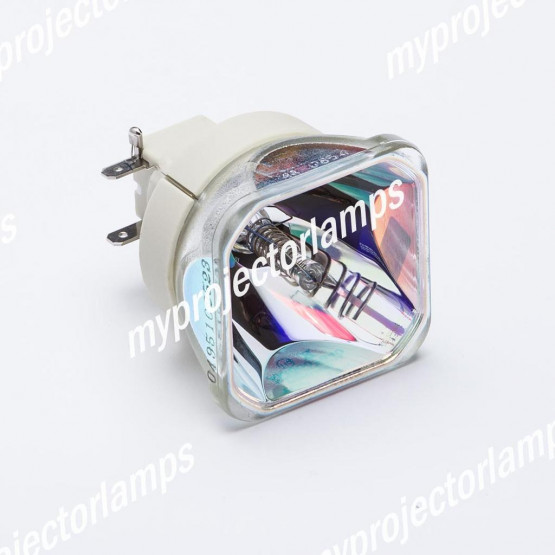 Bare Projector Lamp
