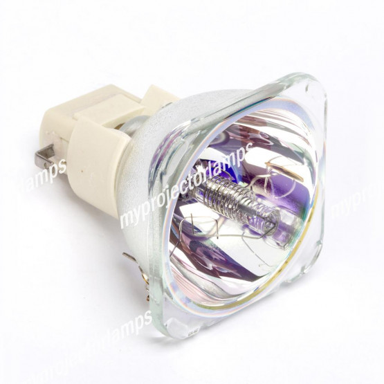 Bare Projector Lamp