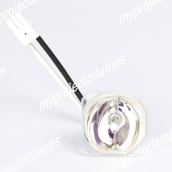 Bulbo/Foco para proyector Vivitek D509