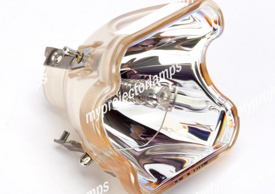 Bulbo/Foco para proyector Sanyo PLC-XW6080CA