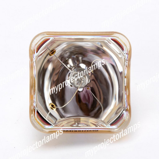 Bulbo/Foco para proyector Sanyo PLC-XW6080CA