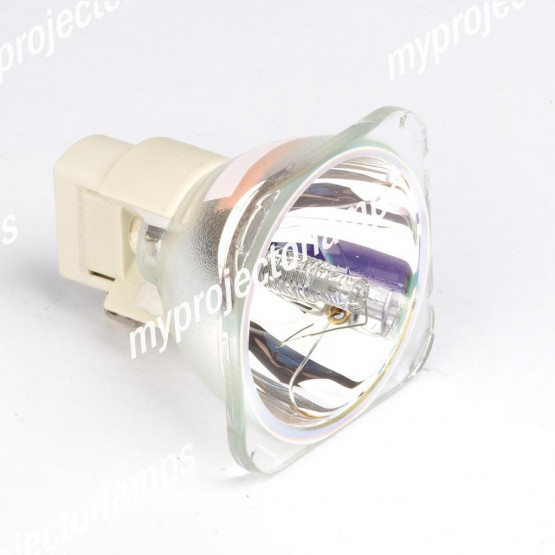 Bare Projector Lamp