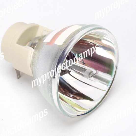 Bare Projector Lamp