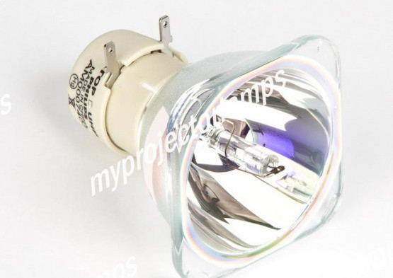 Bulbo/Foco para proyector Infocus SP-LAMP-040