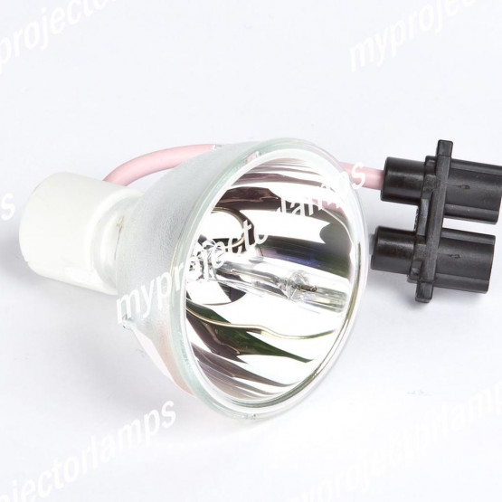 Bare Projector Lamp