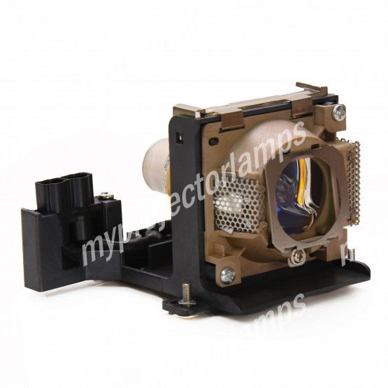 Benq PB8125 Projector Lamp with Module