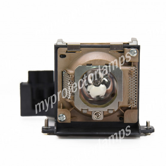 Benq PB8125 Projector Lamp with Module