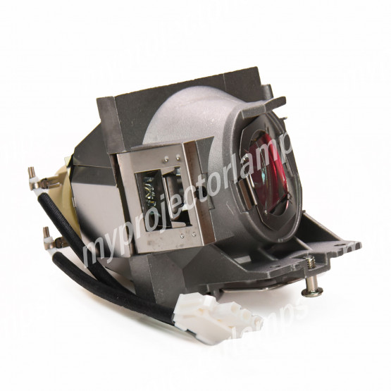Viewsonic RLC-114 Projector Lamp with Module