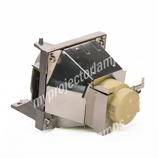 Viewsonic RLC-114 Projector Lamp with Module