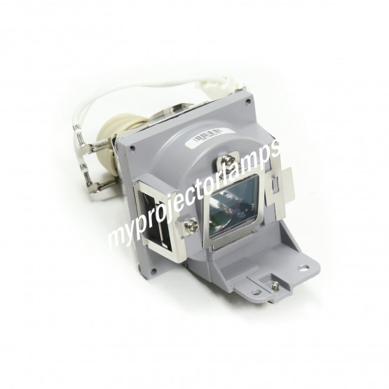 Viewsonic RLC-098 Projector Lamp with Module