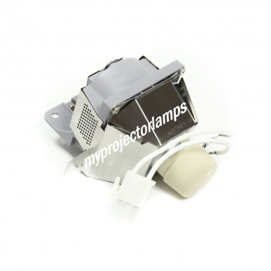 Viewsonic RLC-098 Projector Lamp with Module