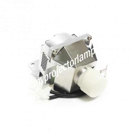 Viewsonic PJD7720HD Projector Lamp with Module