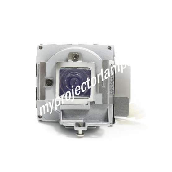 Viewsonic PJD7720HD Projector Lamp with Module