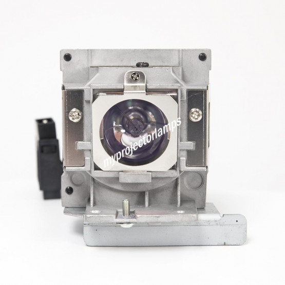 Benq SX914 Projector Lamp with Module