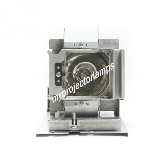 Infocus SP-LAMP-088 Projector Lamp with Module