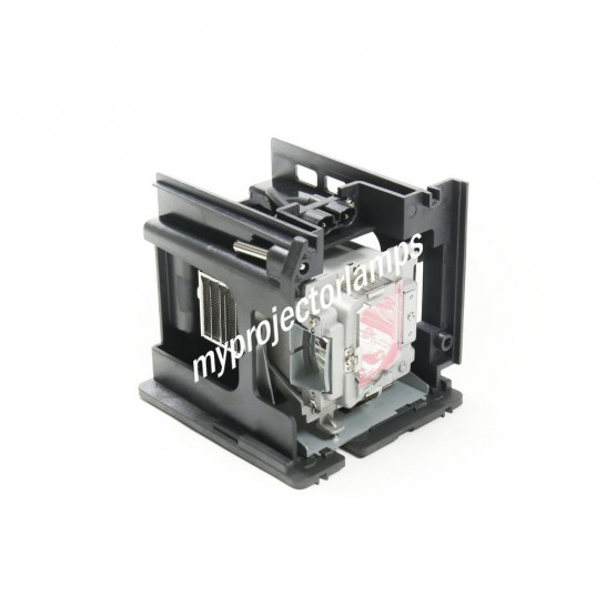 Vivitek D5005 Projector Lamp with Module