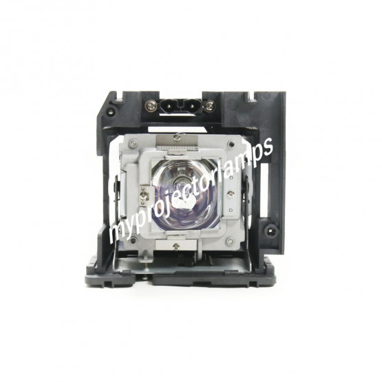 Vivitek D5005 Projector Lamp with Module