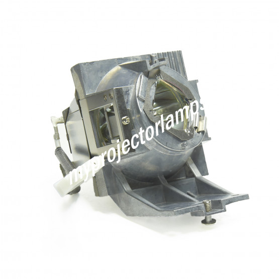 Viewsonic PG700WU Projector Lamp with Module