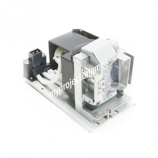 Acer N216 Projector Lamp with Module