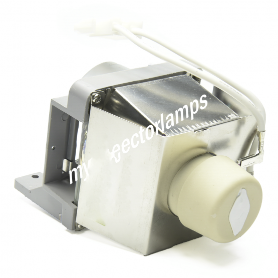 Viewsonic PJD5234 Projector Lamp with Module