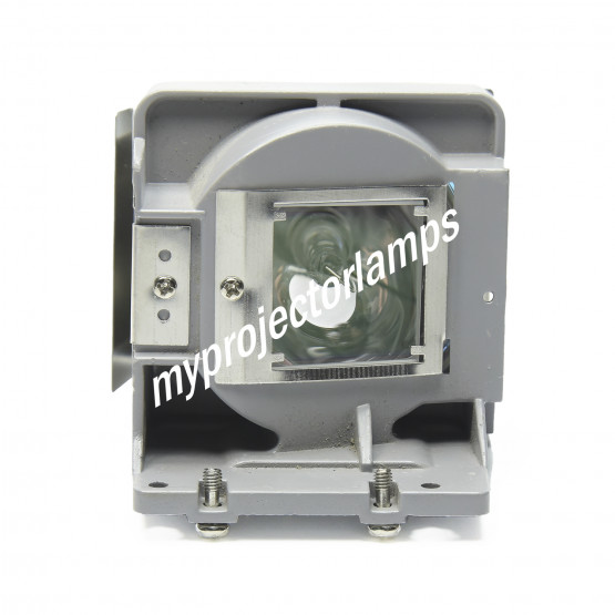 Viewsonic PJD5234 Projector Lamp with Module