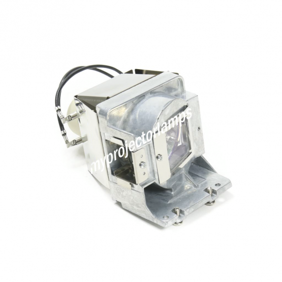 Viewsonic RLC-095 Projector Lamp with Module