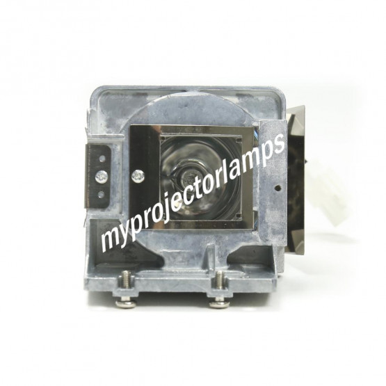 Viewsonic RLC-095 Projector Lamp with Module